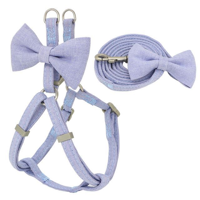 Complete Pet Harness Leash and Collar Set