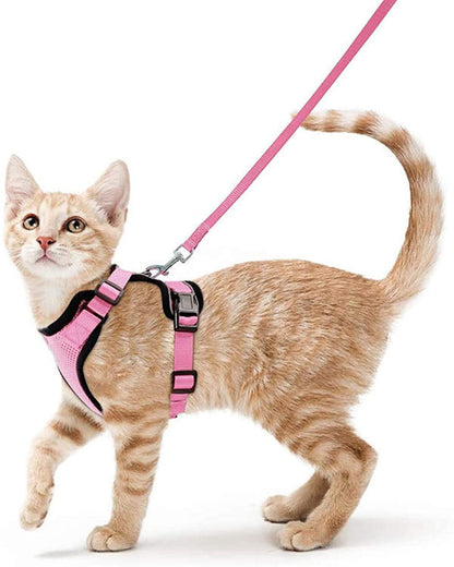 Handheld Pet Safety Rope Leash for Walking