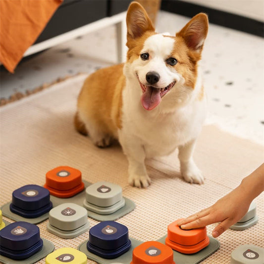 Pet Recordable Training Buzzers with Sounds