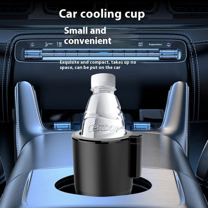 Electric On Board Cooler and Warmer Box