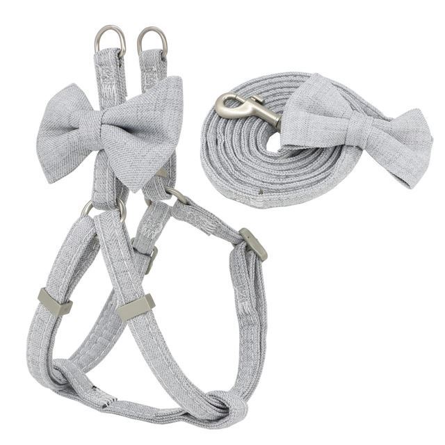 Complete Pet Harness Leash and Collar Set
