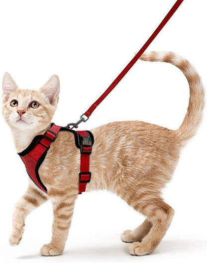 Handheld Pet Safety Rope Leash for Walking
