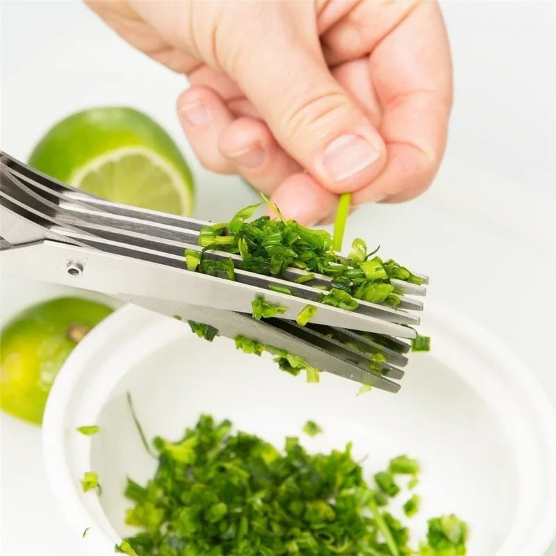 Stainless Steel Multi Layer Herb Scissors Tool