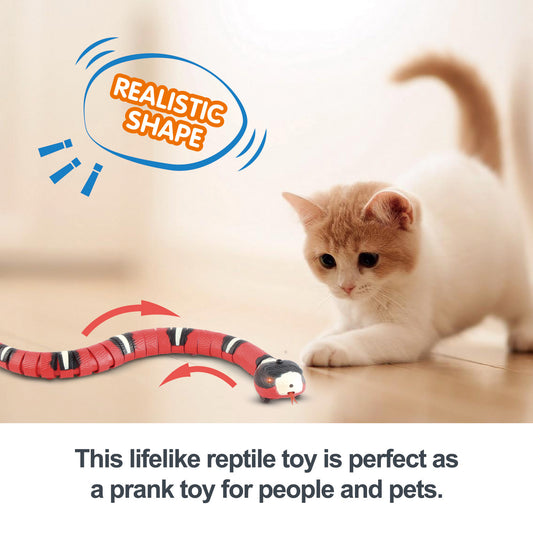 Smart Sensing Interactive Toys for Pet Fun Play