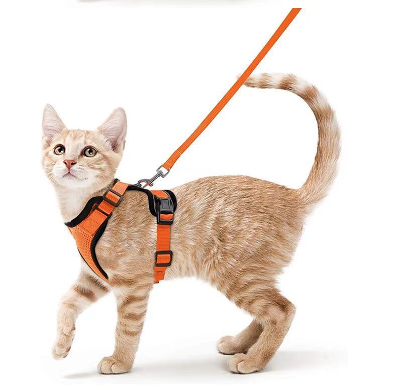 Handheld Pet Safety Rope Leash for Walking