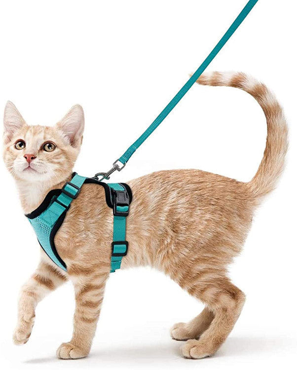 Handheld Pet Safety Rope Leash for Walking