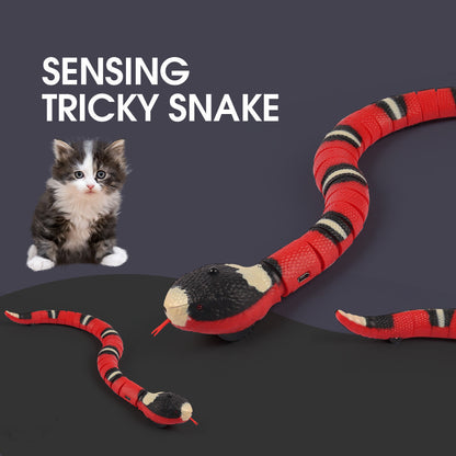 Smart Sensing Interactive Toys for Pet Fun Play