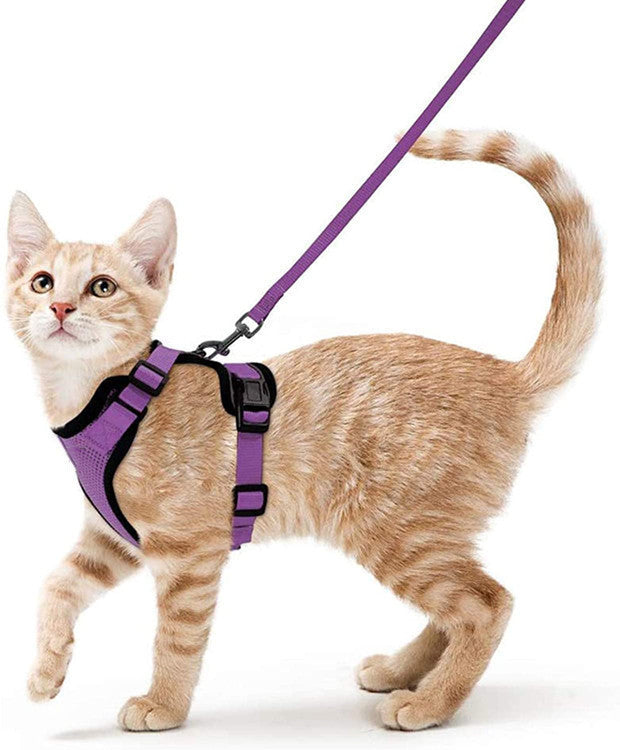 Handheld Pet Safety Rope Leash for Walking