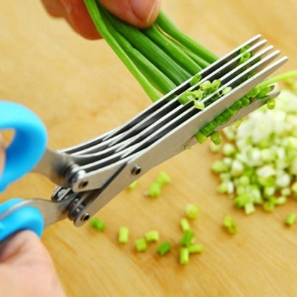 Stainless Steel Multi Layer Herb Scissors Tool