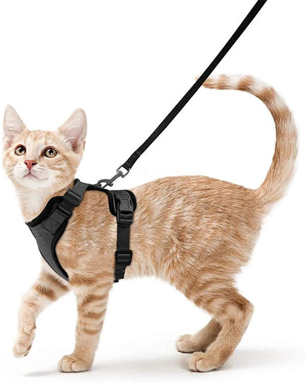 Handheld Pet Safety Rope Leash for Walking